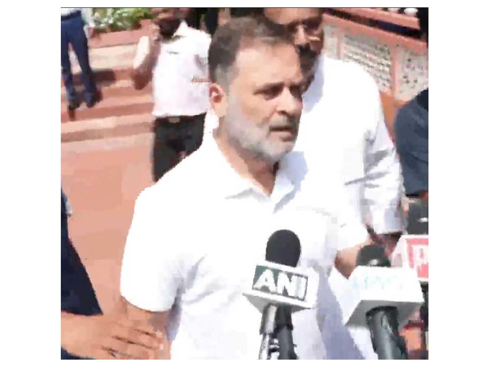 Leader of Opposition (LoP) in Lok Sabha Rahul Gandhi (Photo/ANI)