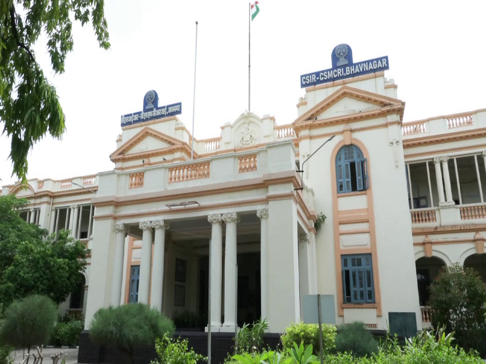 ujarat's CSMCRI scientists among world's top 5% researchers in SciRank Global Registry (Photo/ANI) ujarat's CSMCRI scientists among world's top 5% researchers in SciRank Global Registry (Photo/ANI)