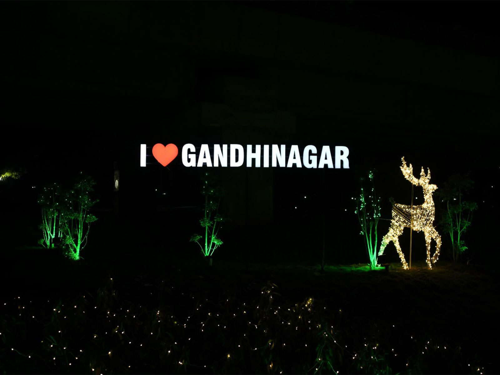 Representative image (Photo/Gujarat CMO) Representative image (Photo/Gujarat CMO)