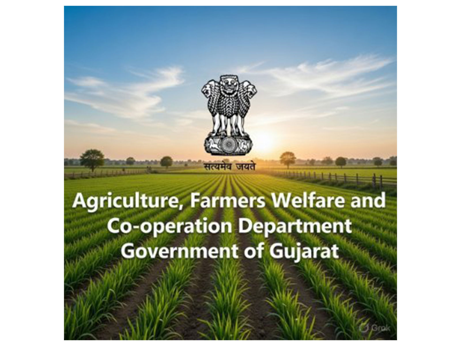 Gujarat Government's Agriculture, Farmers Welfare and Cooperation Department (Photo: x/@GujAgri) Gujarat Government's Agriculture, Farmers Welfare and Cooperation Department (Photo: x/@GujAgri)