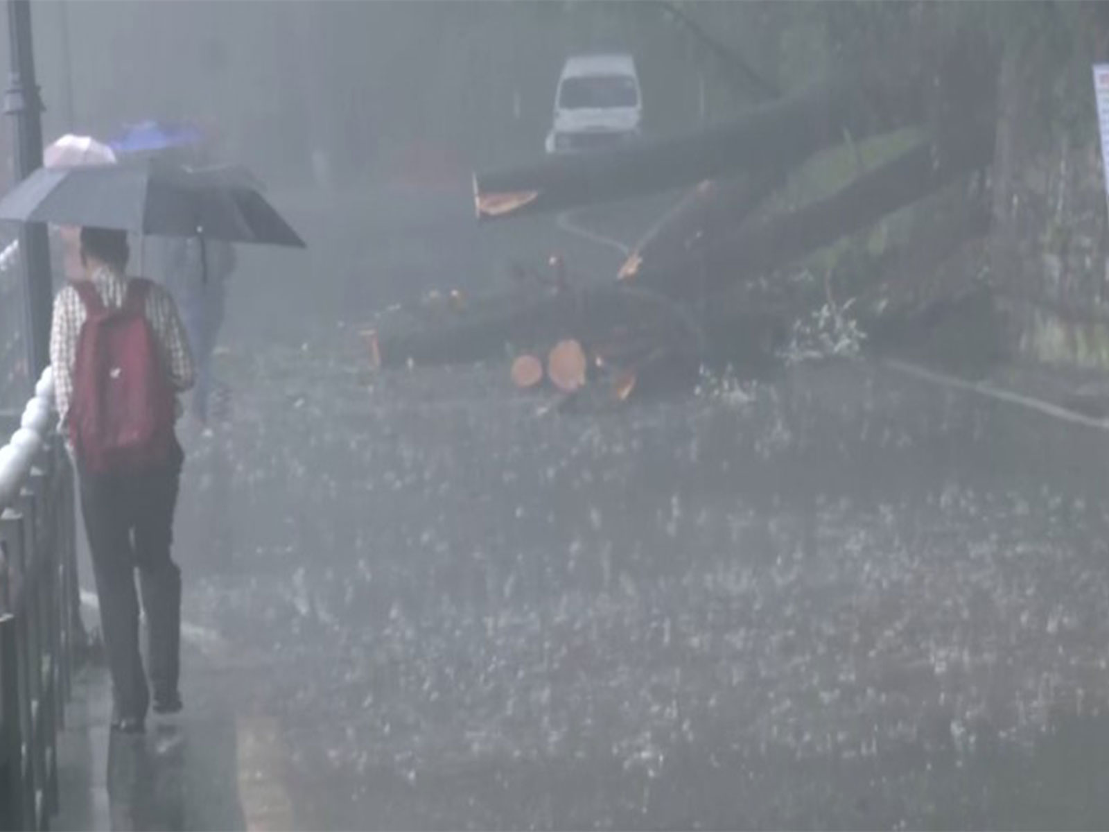 Monsoon rainfall disrupts life in Himachal Pradesh (Photo/ANI) Monsoon rainfall disrupts life in Himachal Pradesh (Photo/ANI)