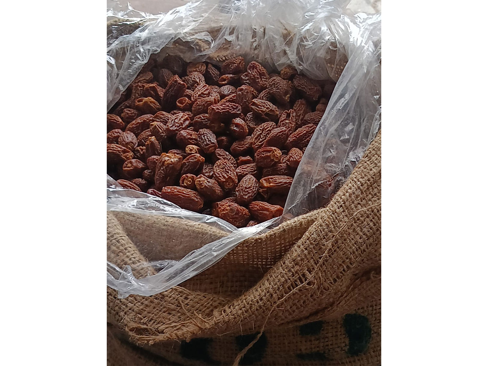 DRI seized Pakistan-Origin dry dates (Photo/ANI) DRI seized Pakistan-Origin dry dates (Photo/ANI)