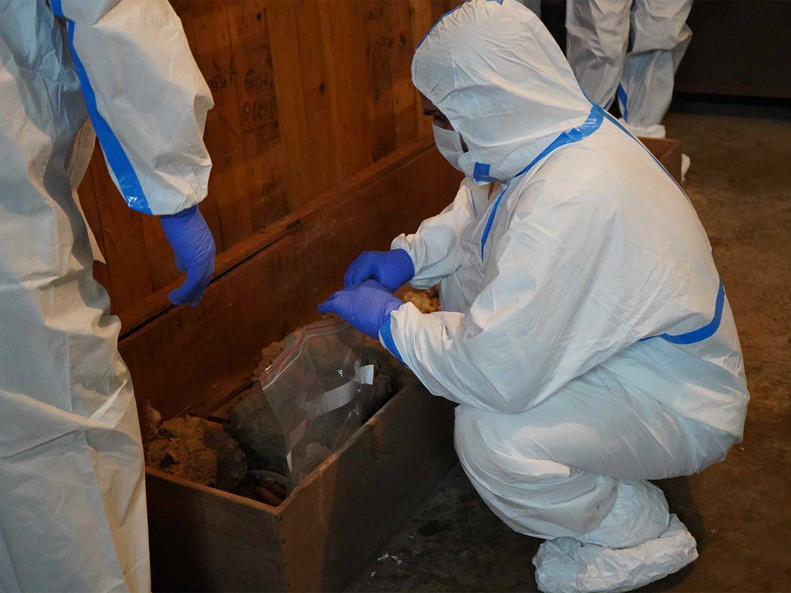 Experts at Banaras Hindu University (BHU) conduct a genetic analysis of a human skeleton found during the Rajghat excavation. (Photo/@bhupro) Experts at Banaras Hindu University (BHU) conduct a genetic analysis of a human skeleton found during the Rajghat excavation. (Photo/@bhupro)