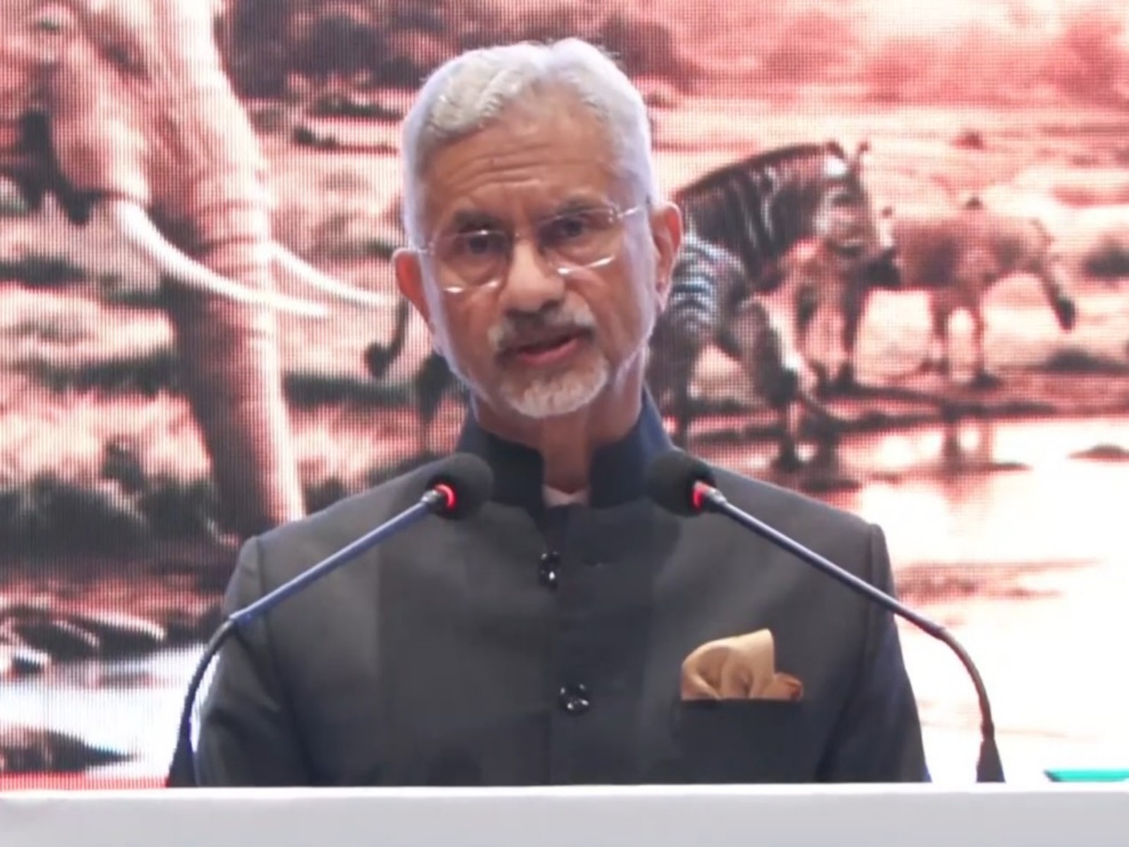 External Affairs Minister S Jaishankar (Photo/X/@DrSJaishankar) External Affairs Minister S Jaishankar (Photo/X/@DrSJaishankar)