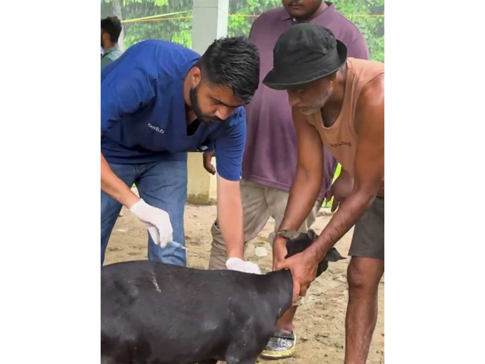 Vantara Foundation wildlife rescue team (Photo/@ril_foundation)