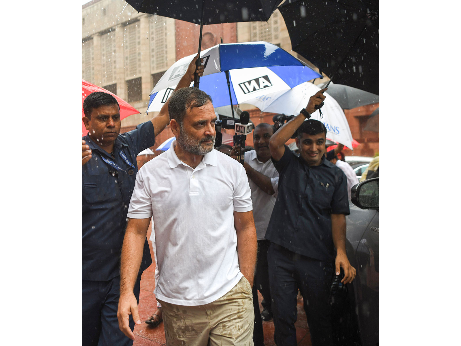 Congress leader Rahul Gandhi (Photo/ANI)