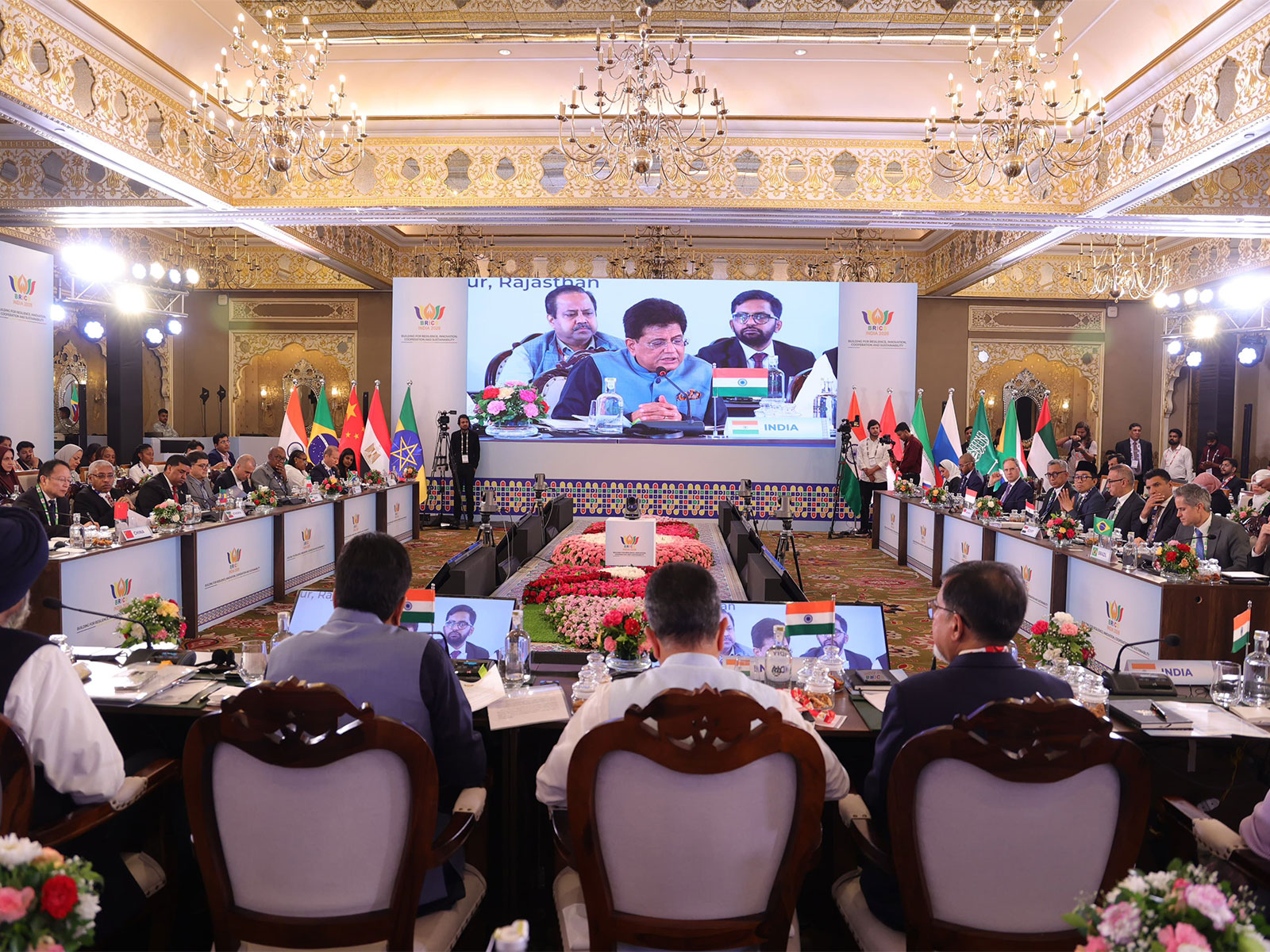  Tenth BRICS Industry Ministers' Meeting (Photo/X@PiyushGoyal)