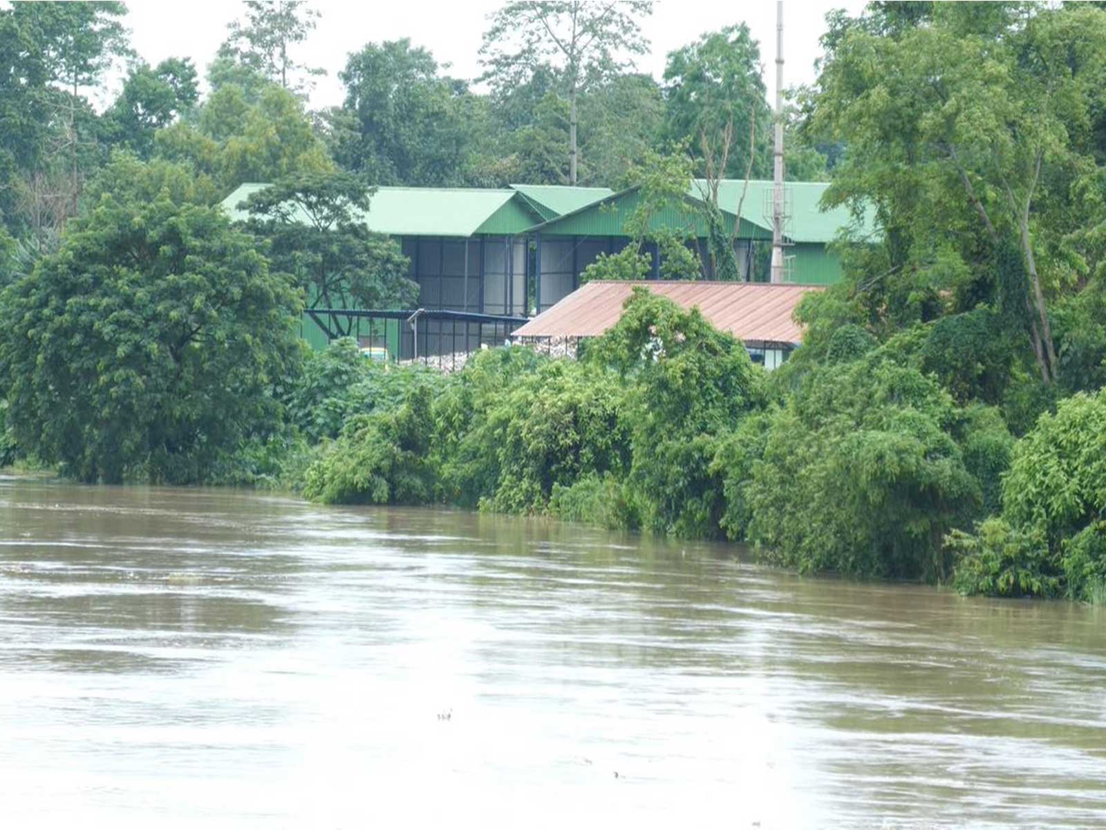 Flood affects parts of Golaghat district in Assam (PhotoANI)