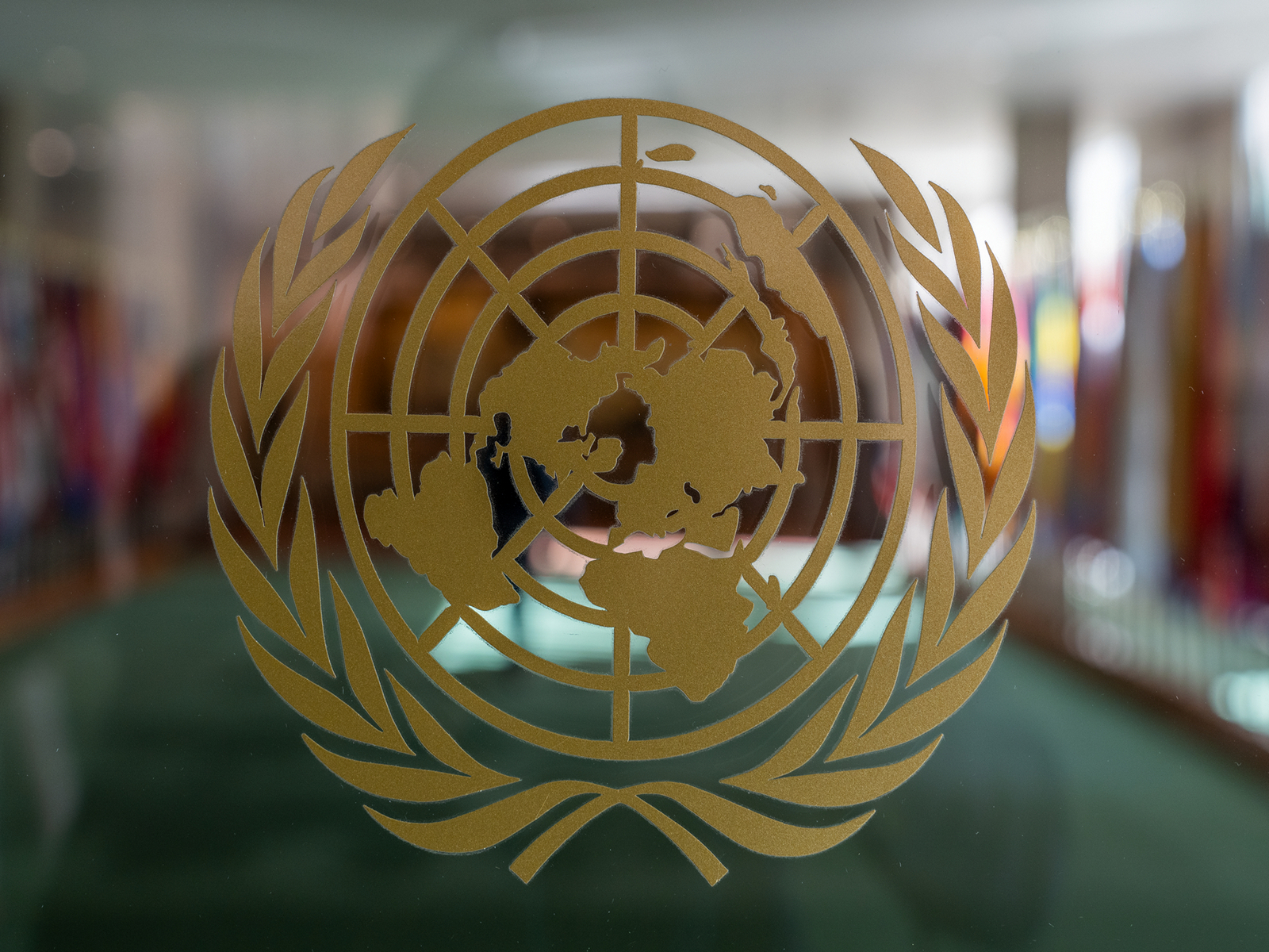 Representative Image (Photo/X@UN)