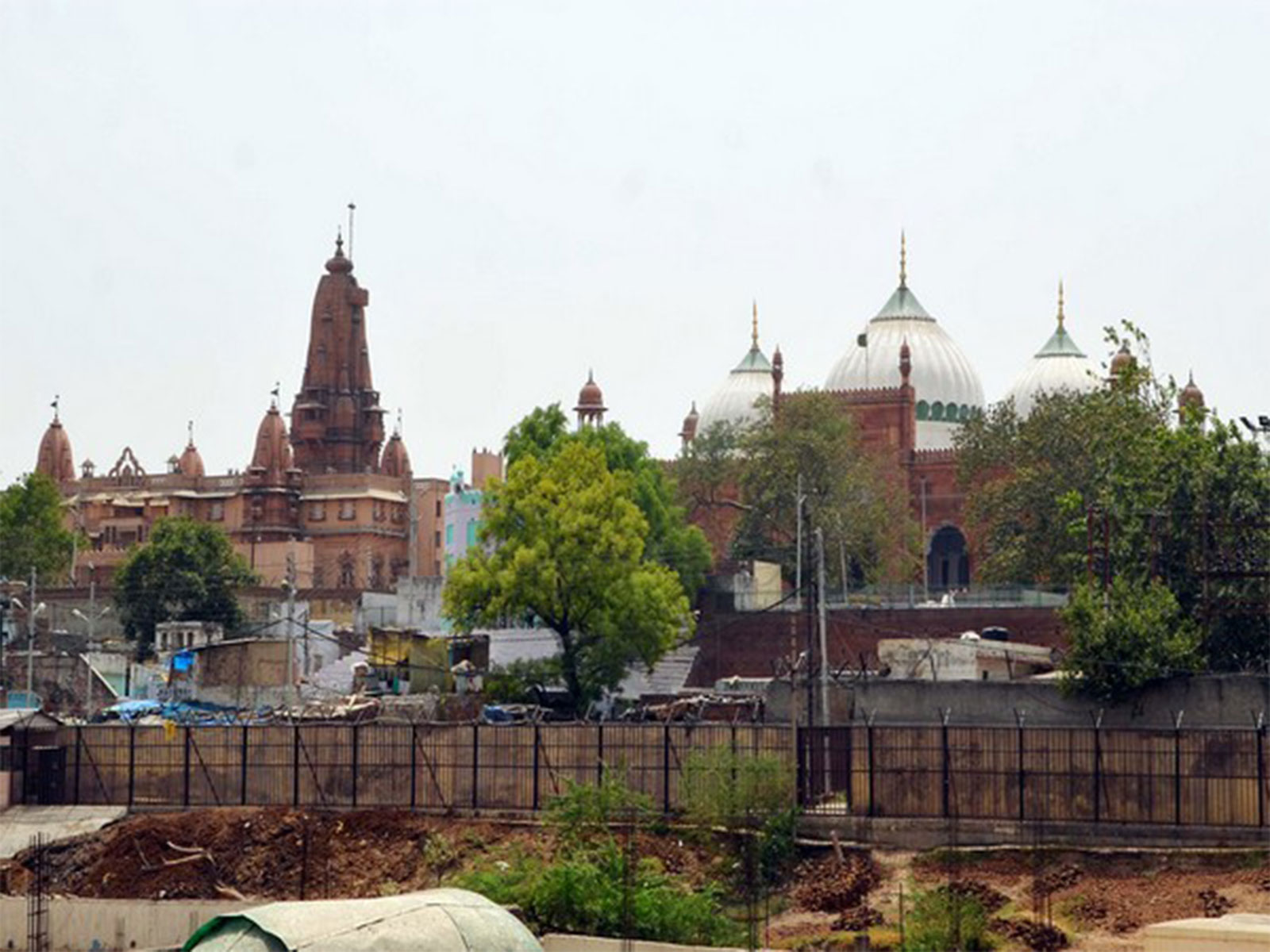 Shri Krishna Janmabhoomi, Shahi Idgah Masjid in Mathura (File Photo/ANI)