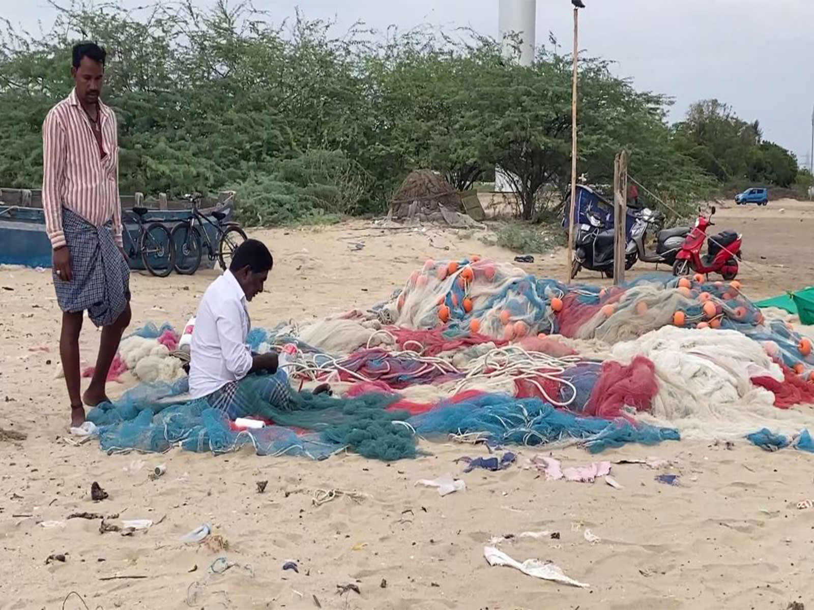 Fishermen struggle with massive influx of seaweed (Photo/ANI)