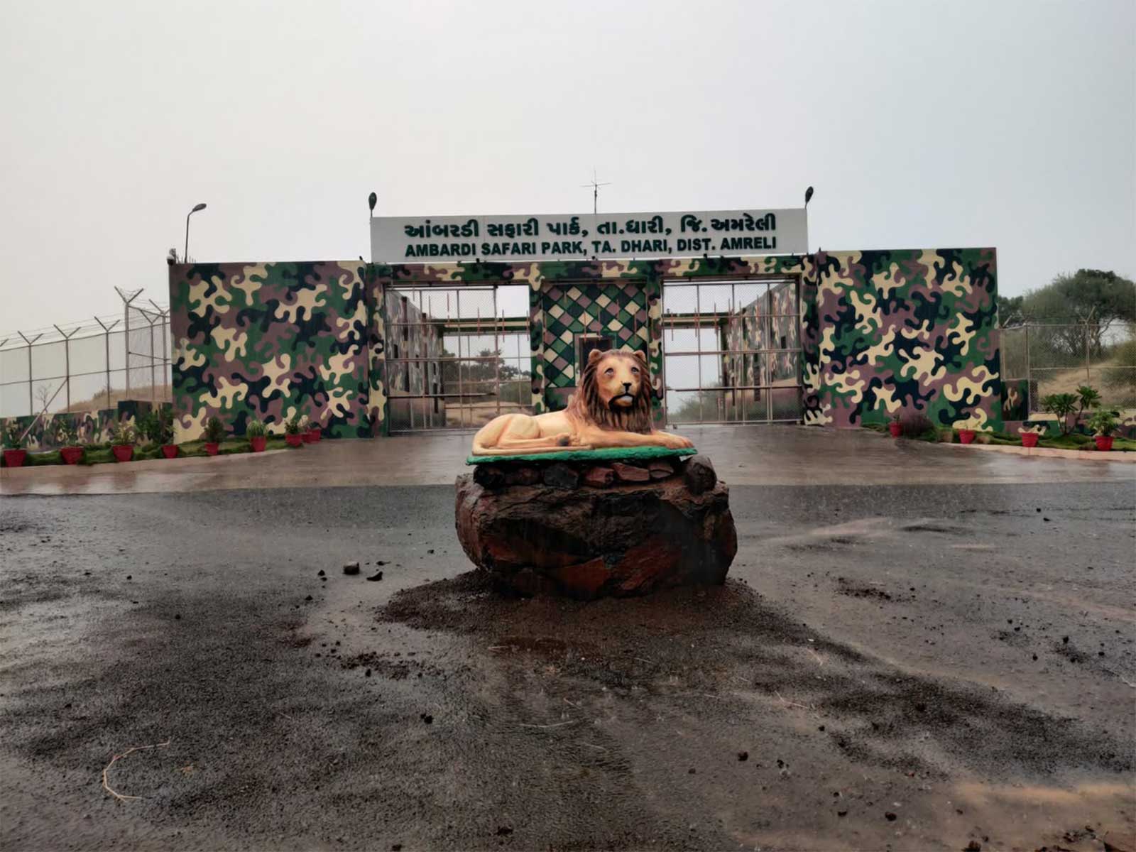 Ambardi Safari Park (Photo/Gujarat CMO) Ambardi Safari Park (Photo/Gujarat CMO)