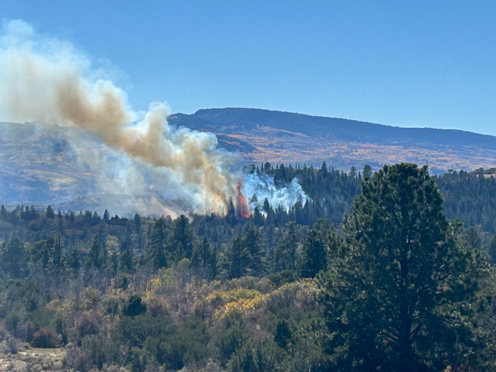 Forest fire in Fishlake National Forest, Utah (Representative File Photo/X@FishlakeNF)