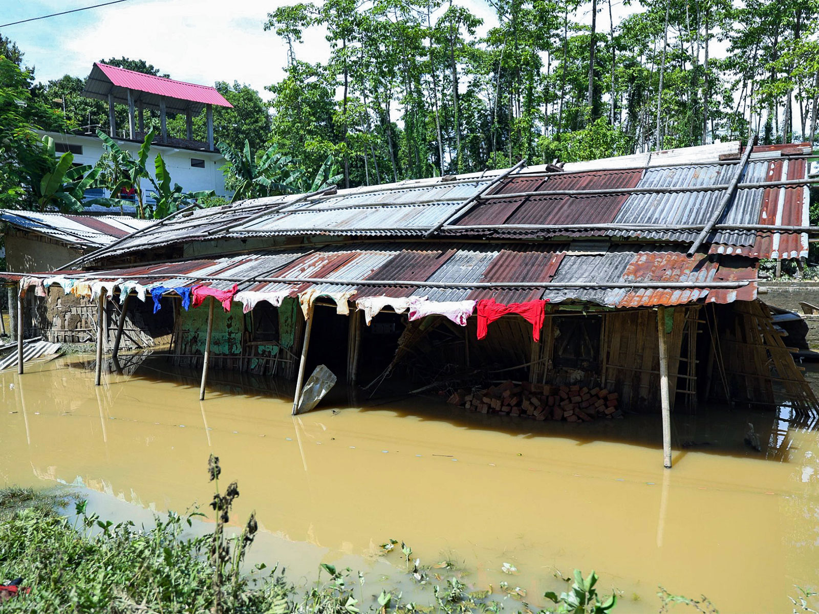 Assam floods leave rural homes and structures submerged in Sivasagar (Photo/ANI) Assam floods leave rural homes and structures submerged in Sivasagar (Photo/ANI)