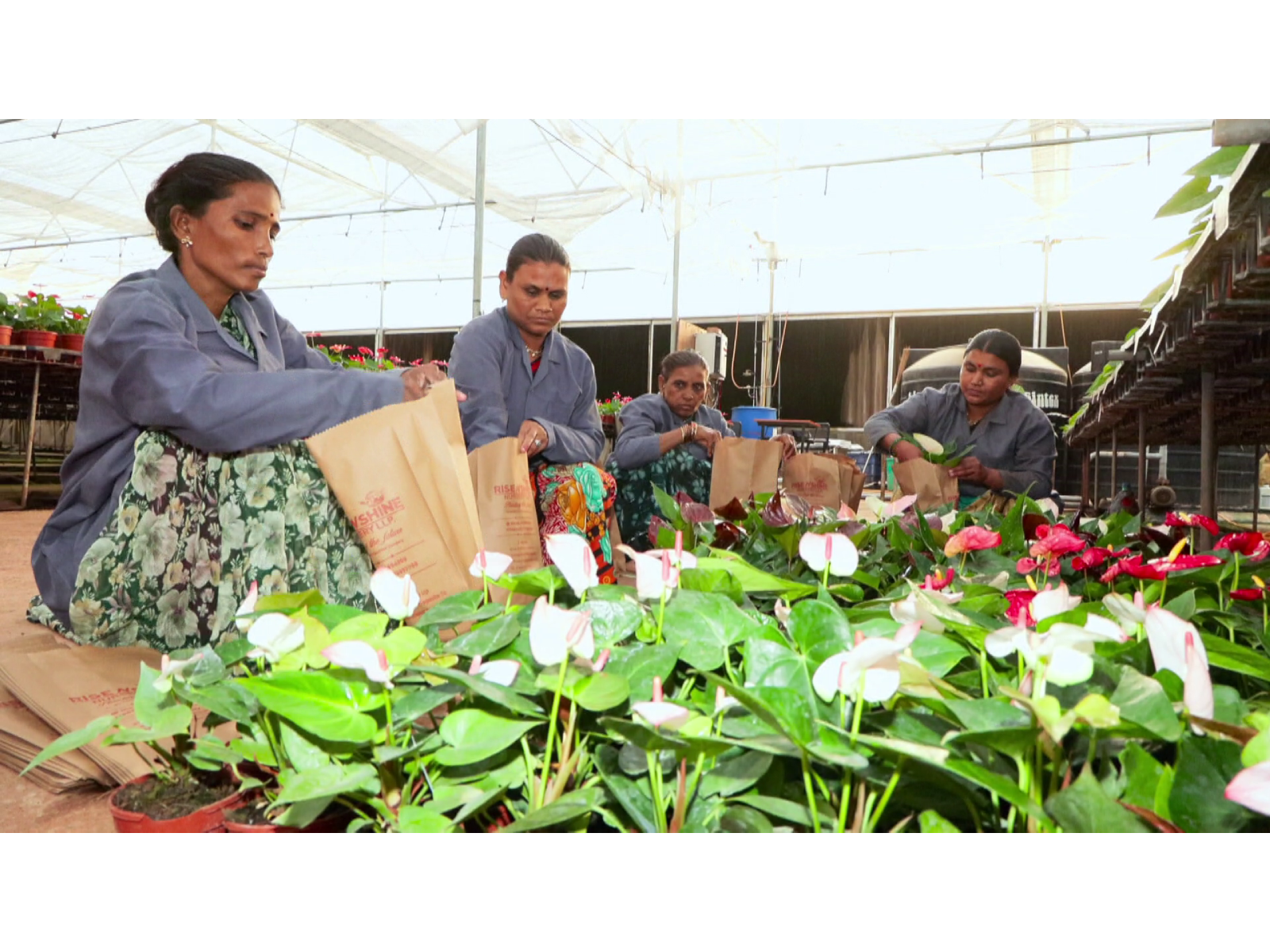 Young innovators drive India’s next agricultural revolution (Photo/ANI) Young innovators drive India’s next agricultural revolution (Photo/ANI)
