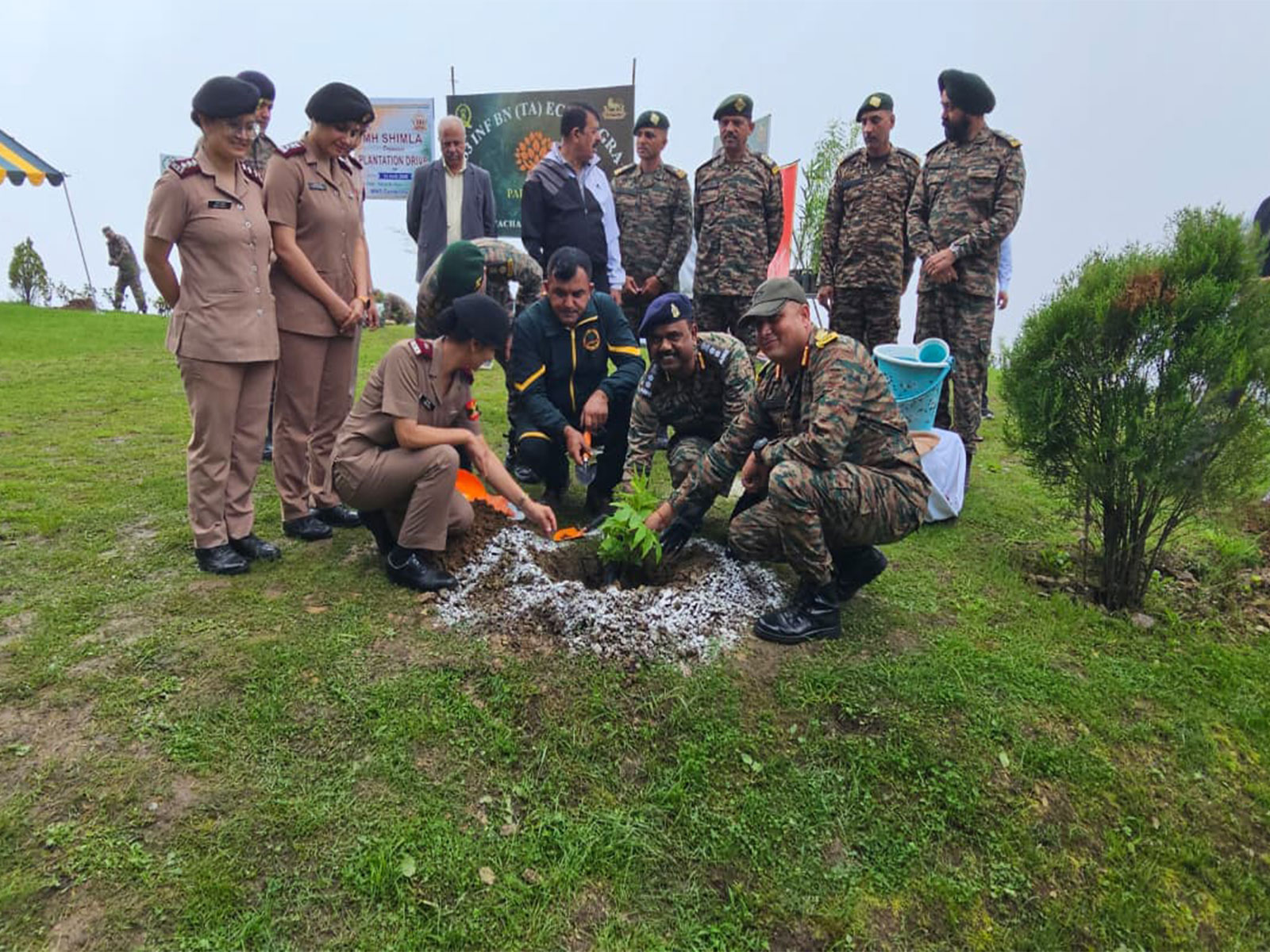 A visual from Community plantation drive 'Ek Ped Sehat Ke Naam' (Photo/DPRO Shimla) A visual from Community plantation drive 'Ek Ped Sehat Ke Naam' (Photo/DPRO Shimla)