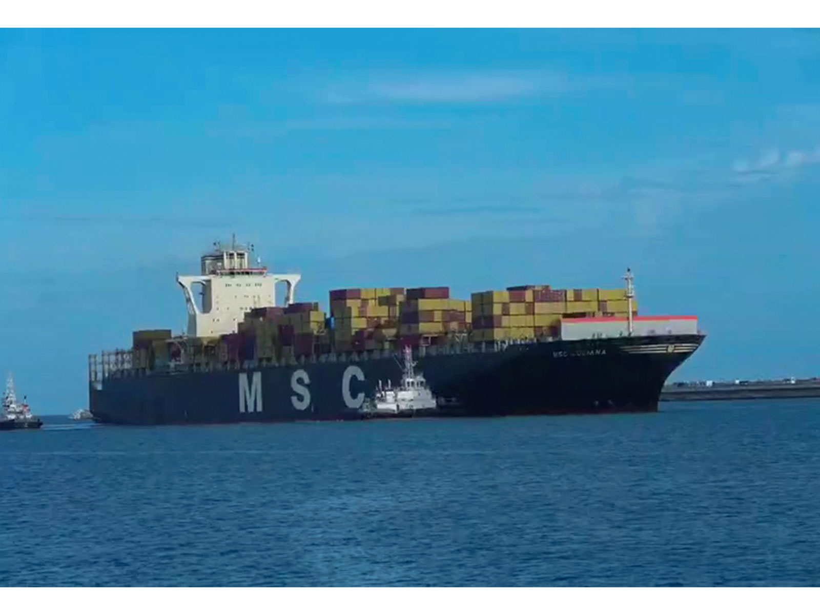 Vizhinjam port to start full-scale export-import operations (Photo/ANI) Vizhinjam port to start full-scale export-import operations (Photo/ANI)
