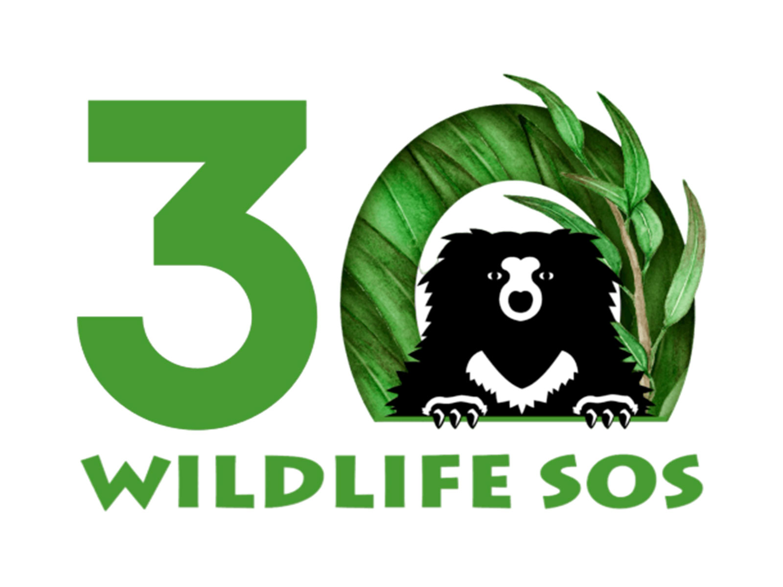 Wildlife SOS (Photo / official website)