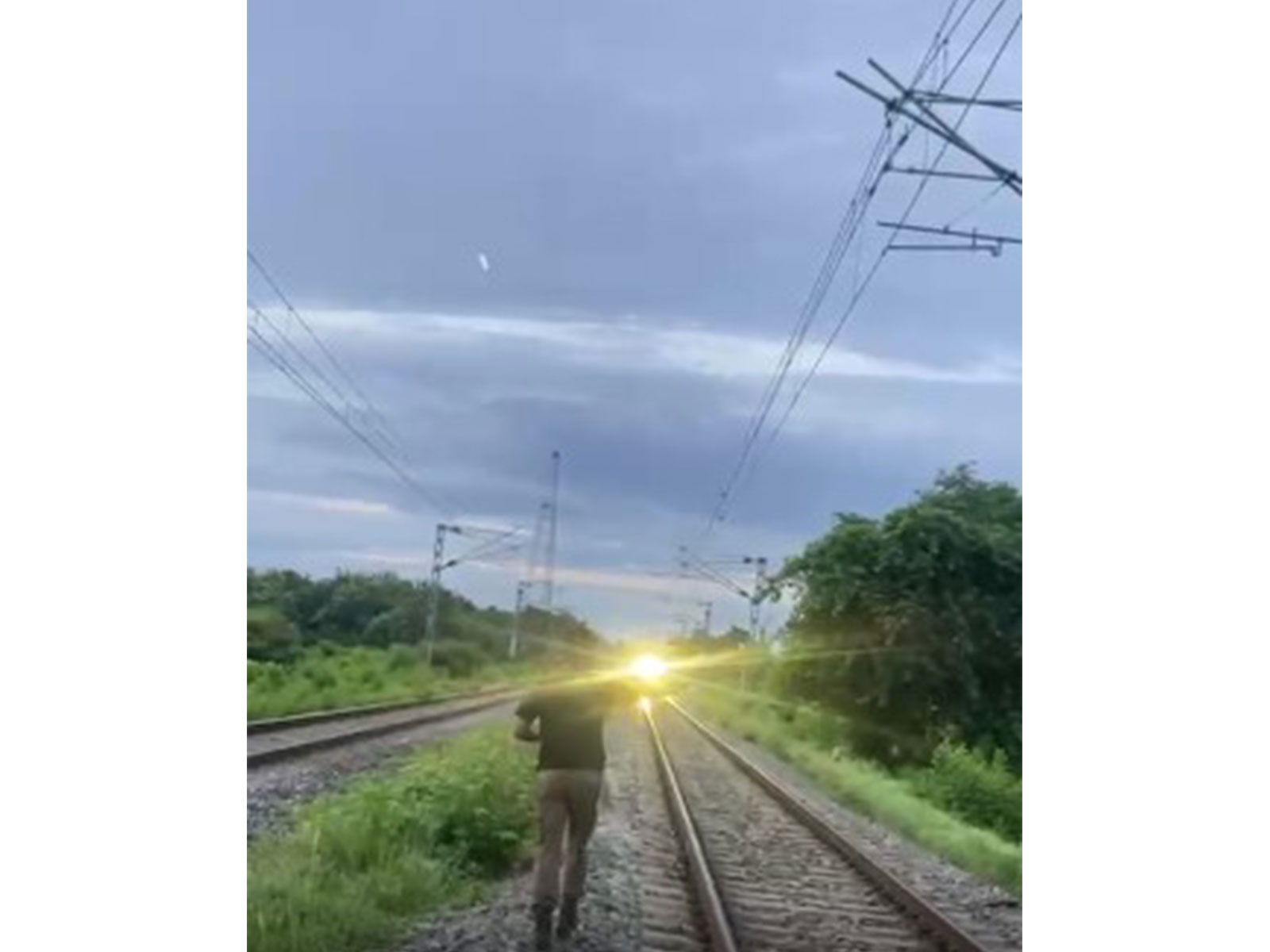 Rajdhani Express halted in Hojai to allow elephant herd to cross railway track safely(Photo: Office of Assam Forest Minister)