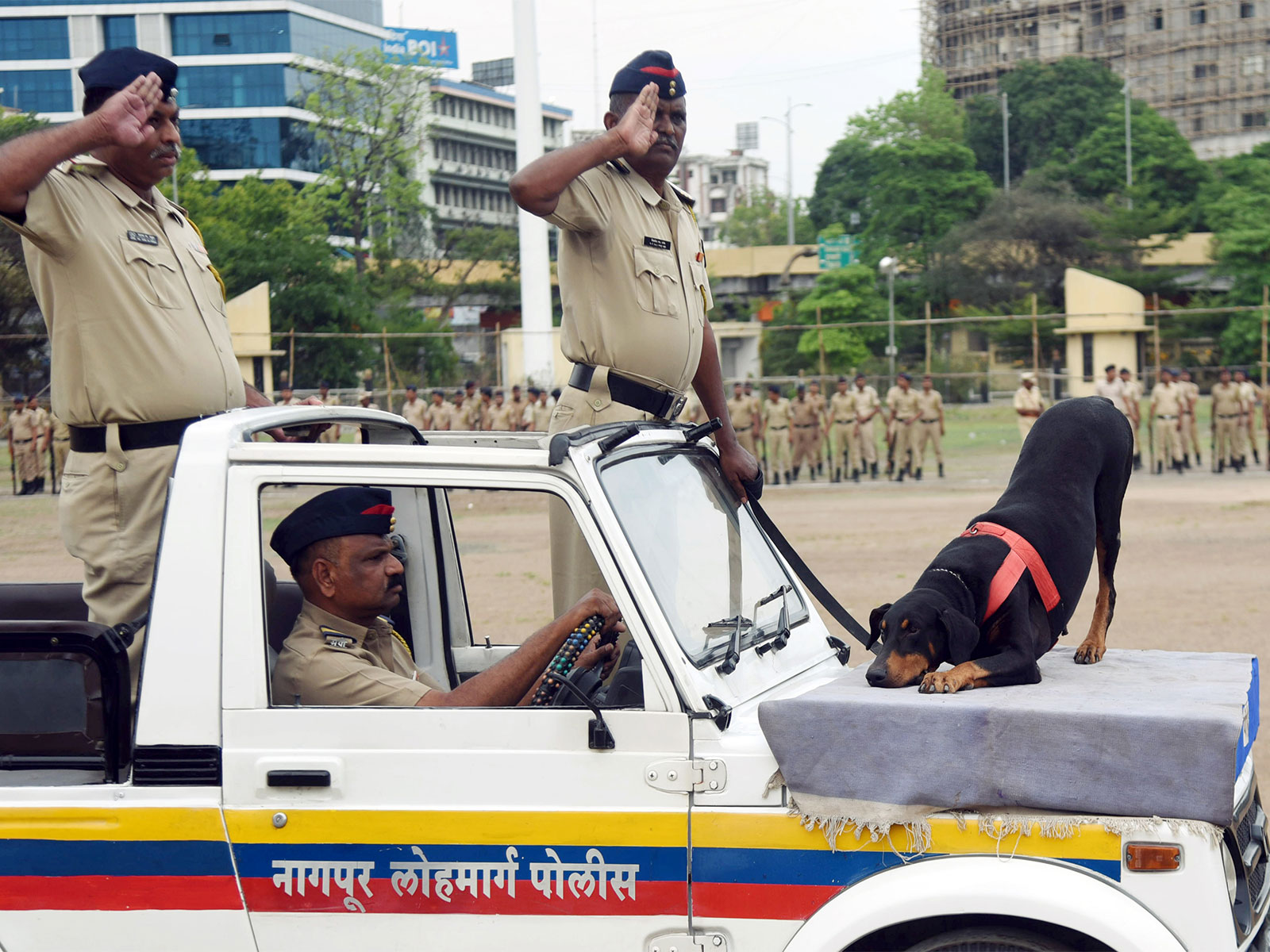 Retired Police dogs to remain with handlers post-retirement (Photo/ANI) Retired Police dogs to remain with handlers post-retirement (Photo/ANI)