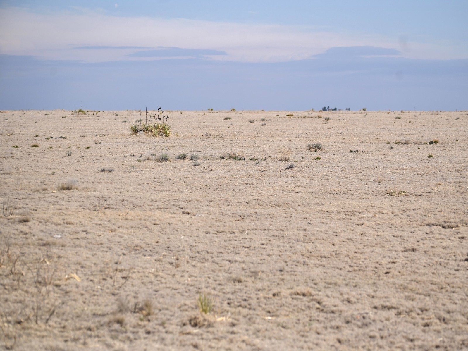 Drought-stricken rangeland stretches near Two Buttes, Colorado, US (Photo/Reuters) Drought-stricken rangeland stretches near Two Buttes, Colorado, US (Photo/Reuters)