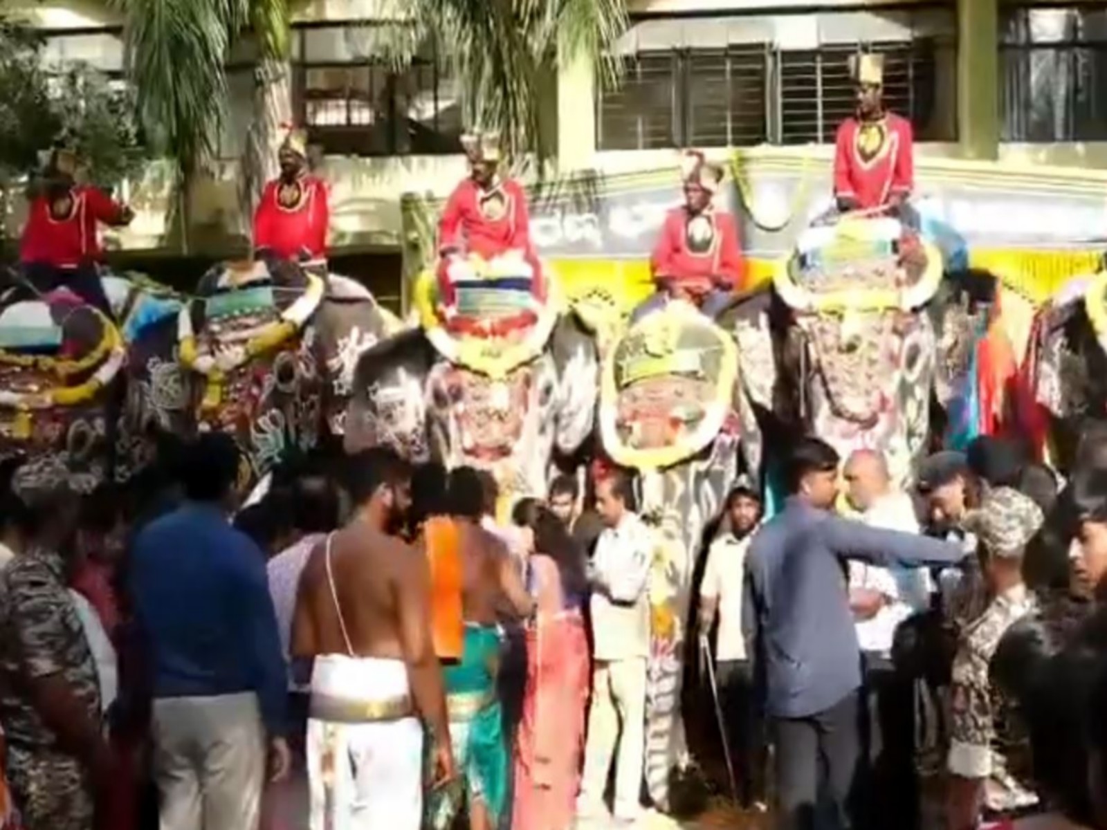 World-famous Mysuru Dasara 2026 celebrations begin with a grand welcome accorded to the Dasara elephant squad at Mysuru Palace.(Photo/ ANI)