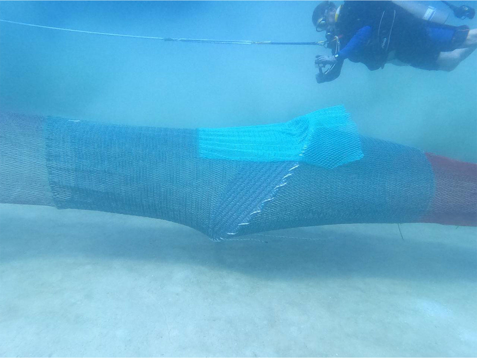 Gujarat’s Fishermen to adopt TED to safeguard sea turtles (Photo/GujaratCMO)