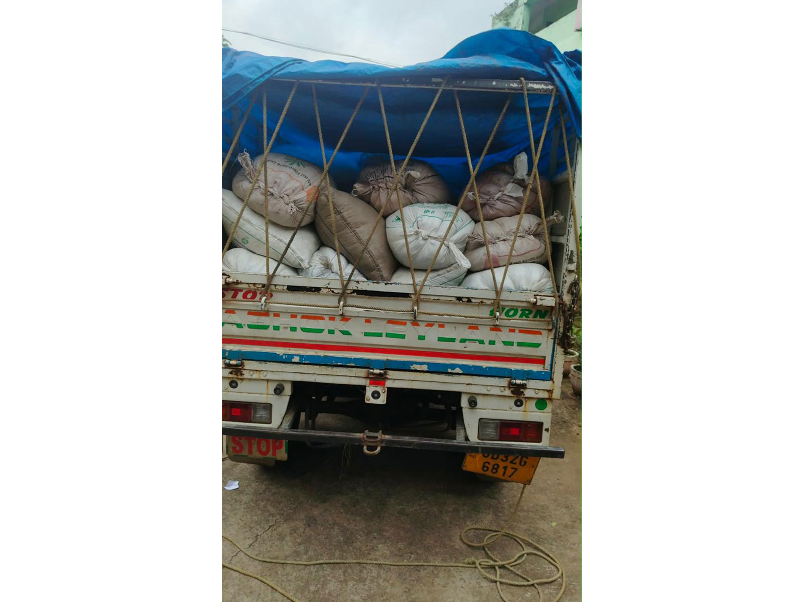 Odisha Police seize 3,250 litres of illegal ID liquor in Odagaon (Photo/ANI) Odisha Police seize 3,250 litres of illegal ID liquor in Odagaon (Photo/ANI)