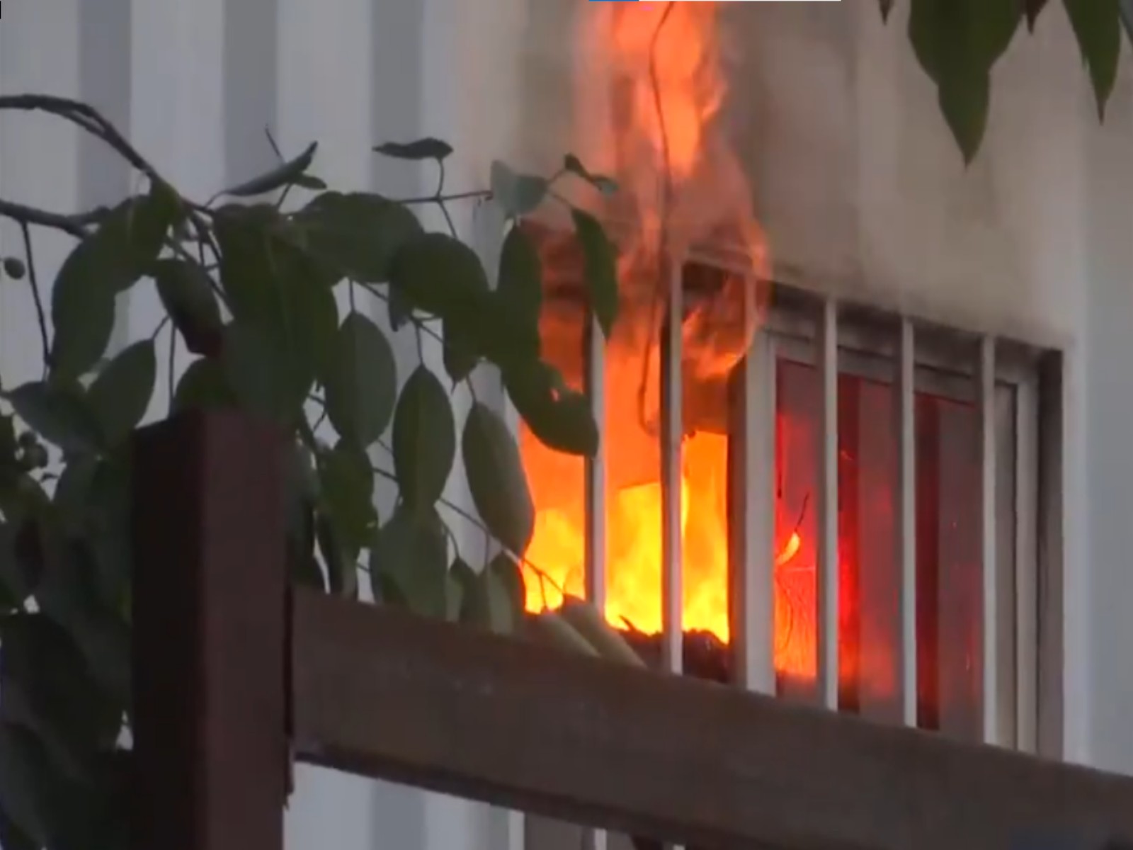 Fire at timber godown in West Delhi, no casualties