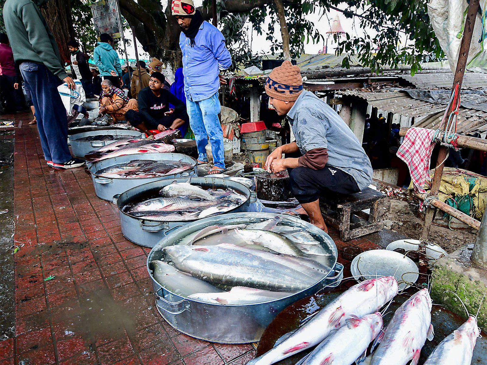 Vendors sell fishes at the fish market (File Photo/ANI)
