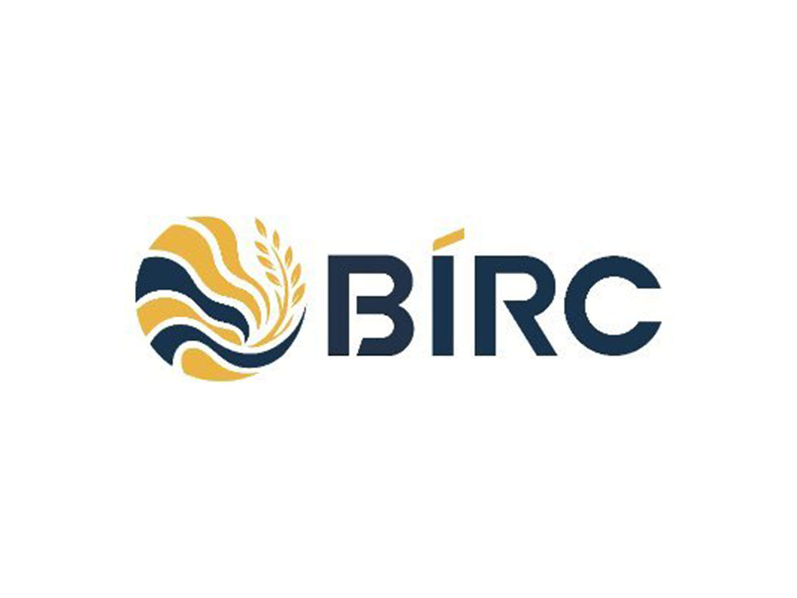 BIRC 2026 logo (Photo/@BIRC2026) BIRC 2026 logo (Photo/@BIRC2026)