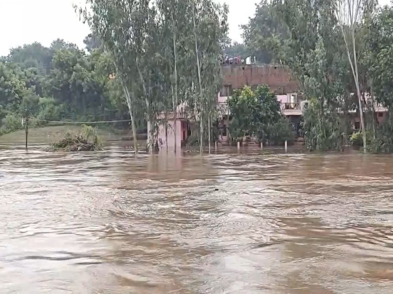Mandakini River in Satna (Photo/ANI)