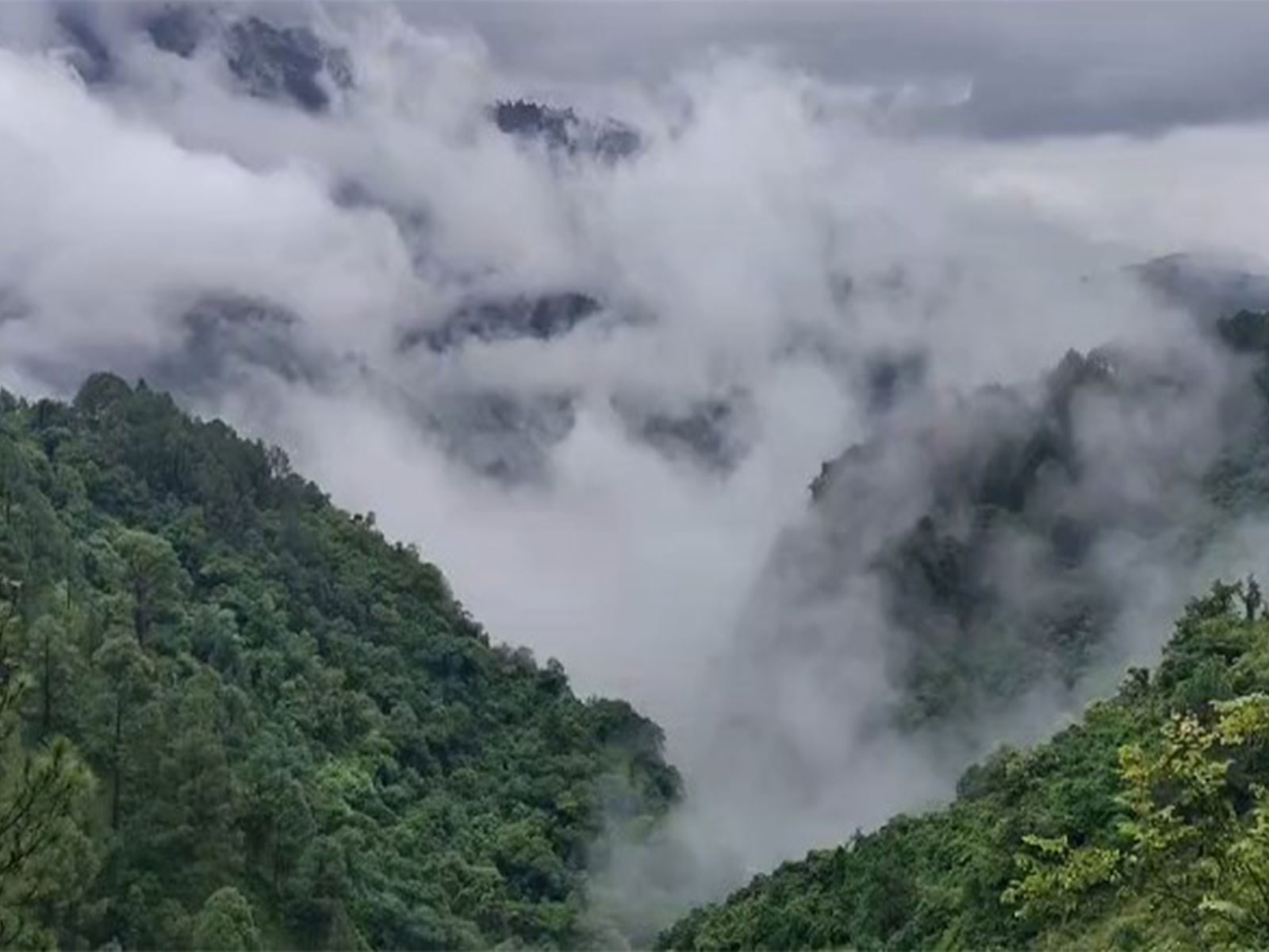 Heavy rain and dense fog lash Uttarakhand's Rudraprayag district after IMD issues orange alert for heavy to very heavy rainfall (Photo:ANI)