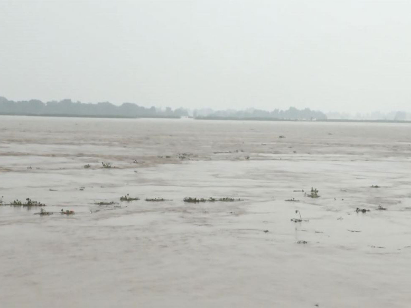 Nakta Diara area amid rising Ganga water levels in Bihar (Photo/ANI)