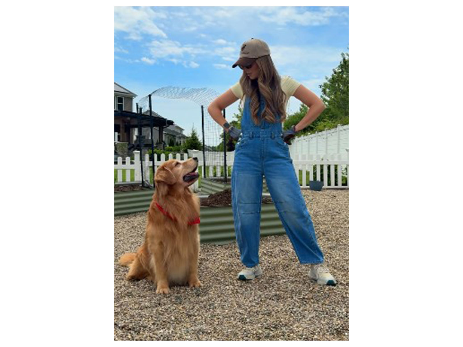 Tucker Budzyn, internet’s favourite Golden Retriever, dies after cancer complications