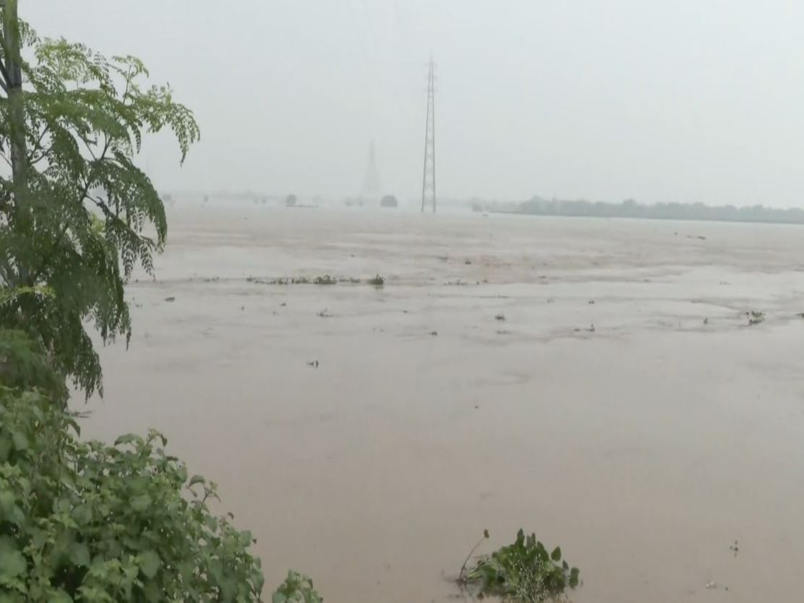 Nakta Diara area amid rising Ganga water levels in Bihar (File Photo/ANI) Nakta Diara area amid rising Ganga water levels in Bihar (File Photo/ANI)