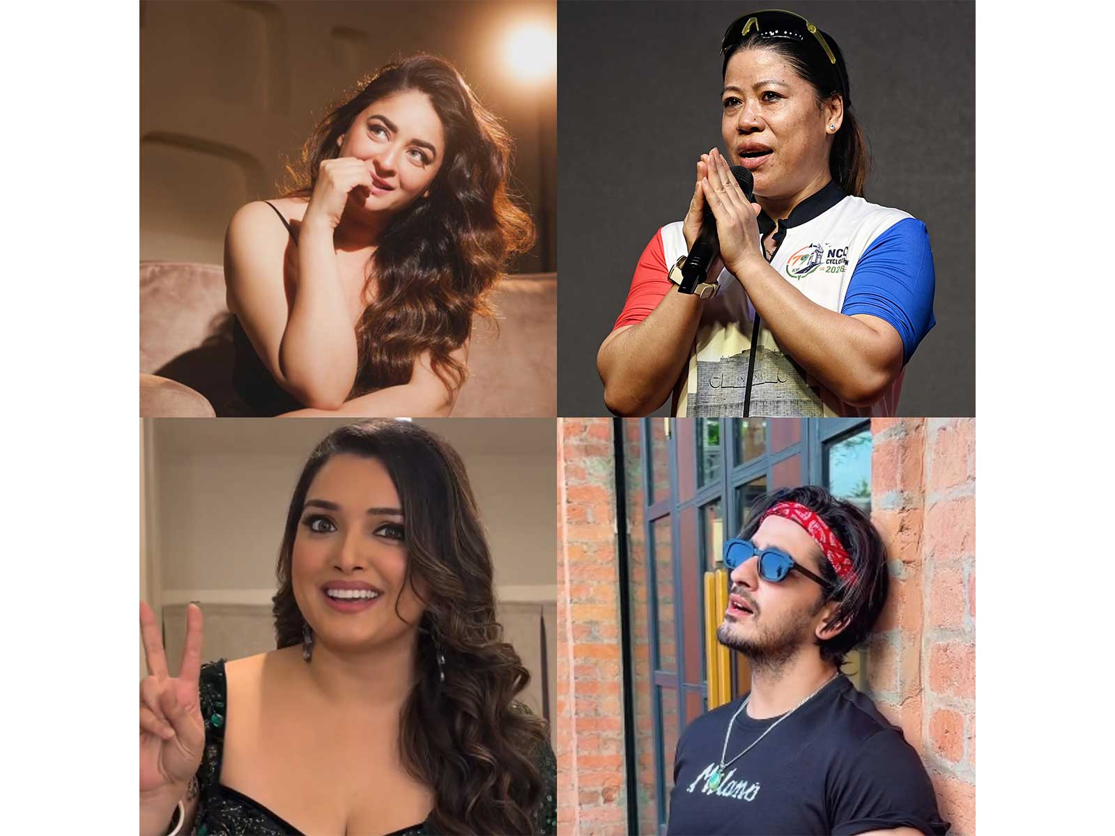 Bigg Boss 20 contestants (Photo/ANI/Instagram@mahhivij/@aamrapali1101/@qazitouqeer_official)