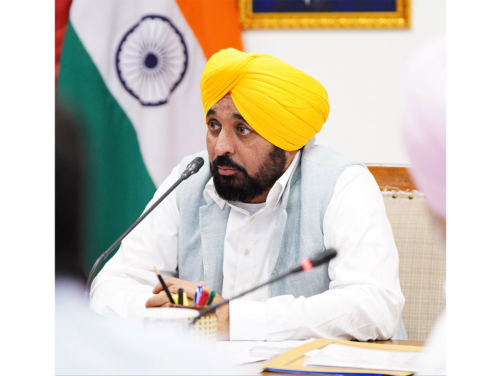 Punjab Chief Minister Bhagwant Singh Mann (File photo/AN)