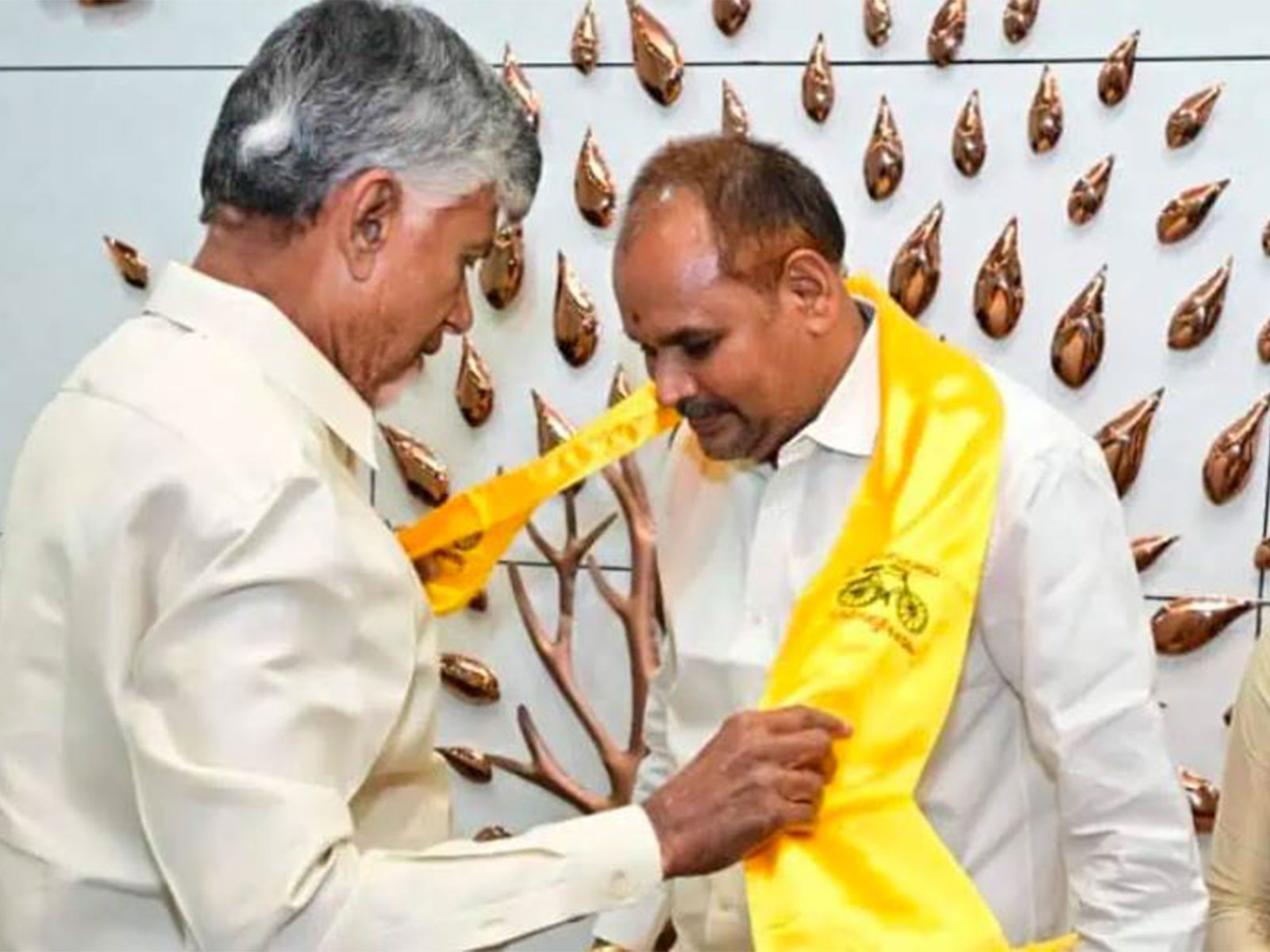 Vizianagaram District ZP Chairman, YCP District President Majji Srinivasa Rao (Chinna Srinu) has joined the TDP  (Photo: @JaiTDP/X)