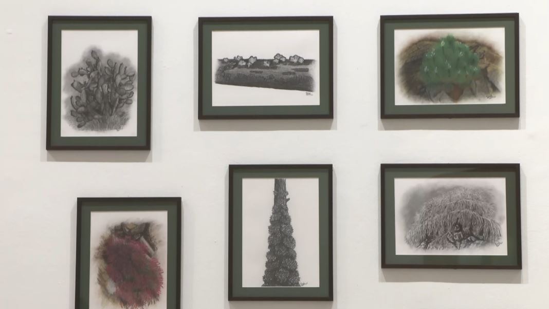 Paradise Promised’: At Bikaner House, artists turn an imagined paradise into a conversation on ecology, displacement and everyday life