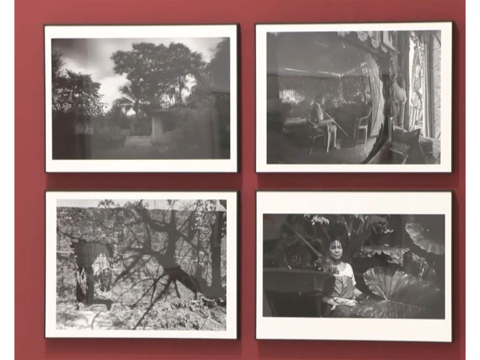 'Paradise Promised' exhibition in New Delhi (Photo/ANI)