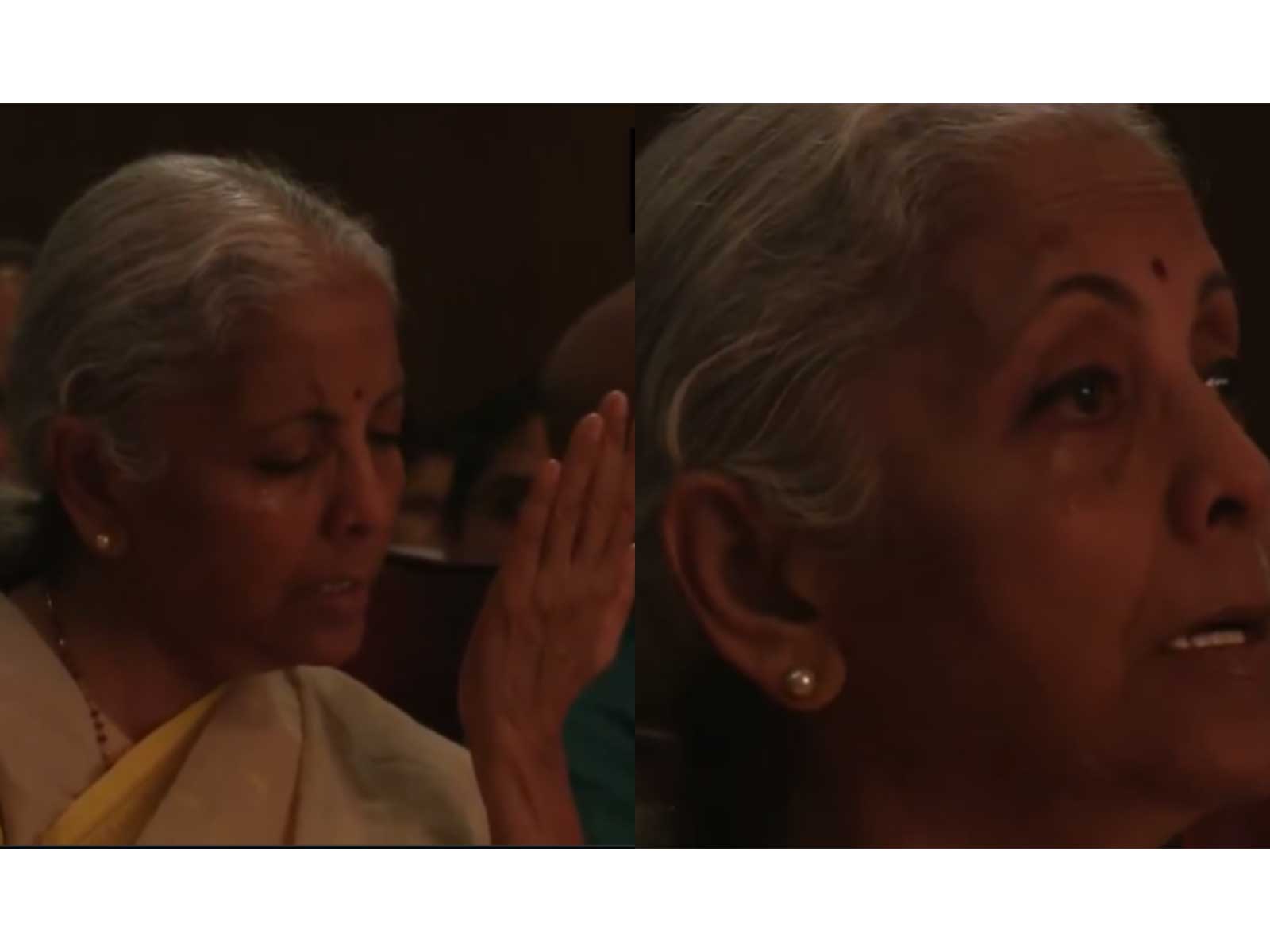 Nirmala Sitharaman (Photos/ANI)