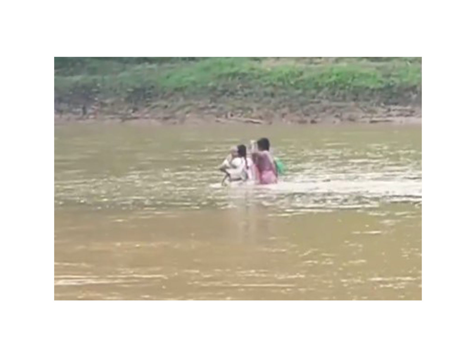 Chhattisgarh teachers crossing river to reach their classroom (Photo/ANI) Chhattisgarh teachers crossing river to reach their classroom (Photo/ANI)