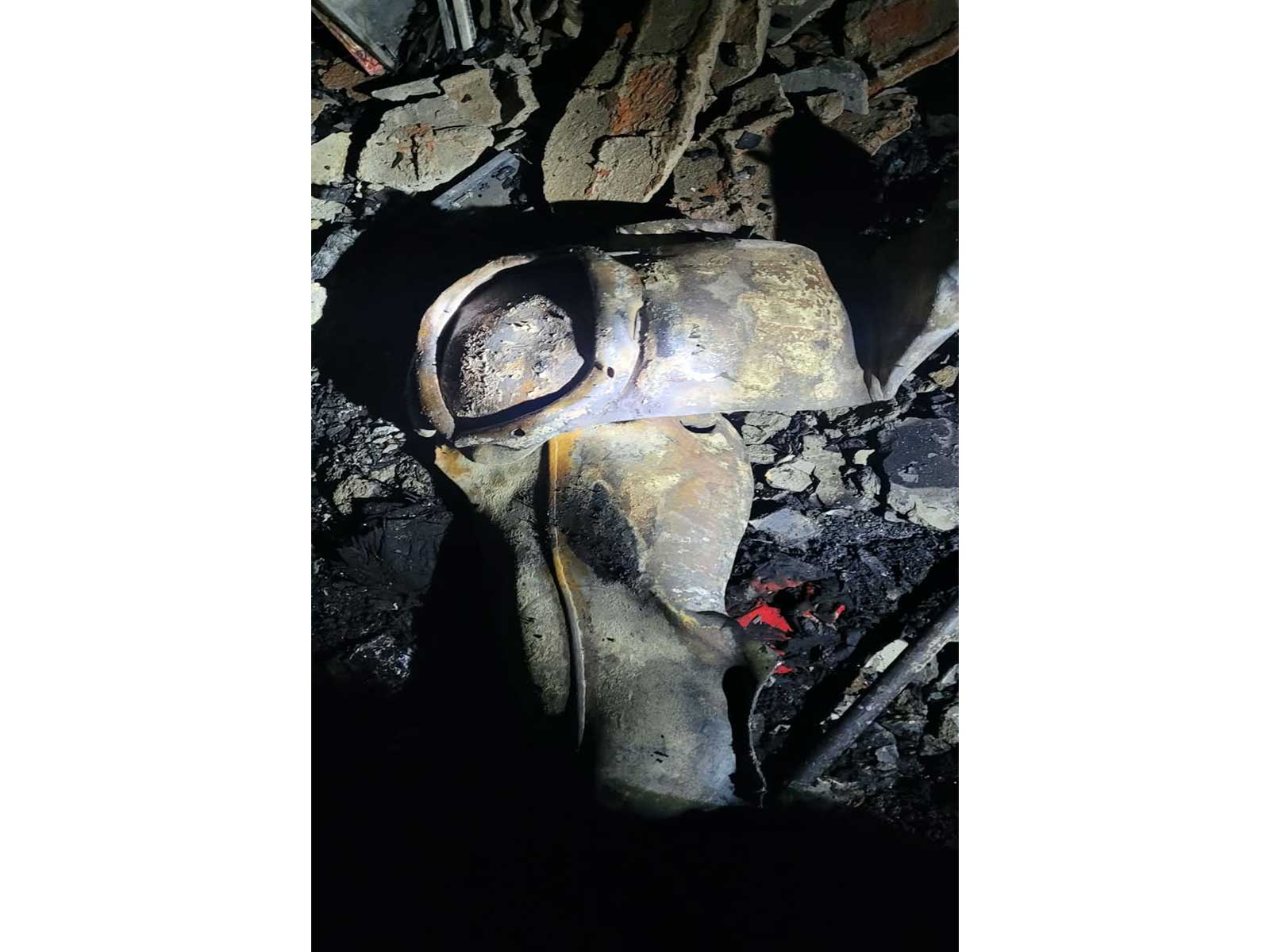 Visual from the spot (Photo/DelhiFireService) Visual from the spot (Photo/DelhiFireService)
