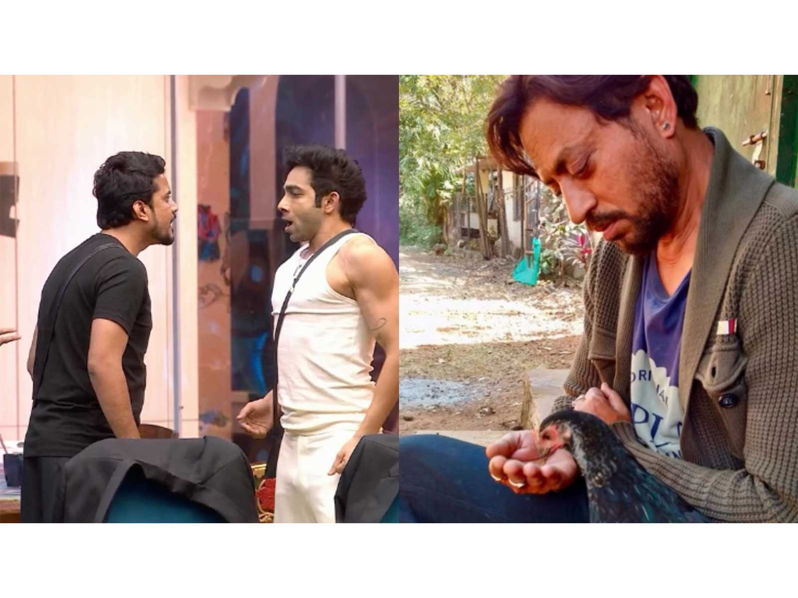 Aman and Asif in BB (L) Irrfan Khan (R) (Photos/Instagram@sikdarsutapa/@jiohotstarreality)