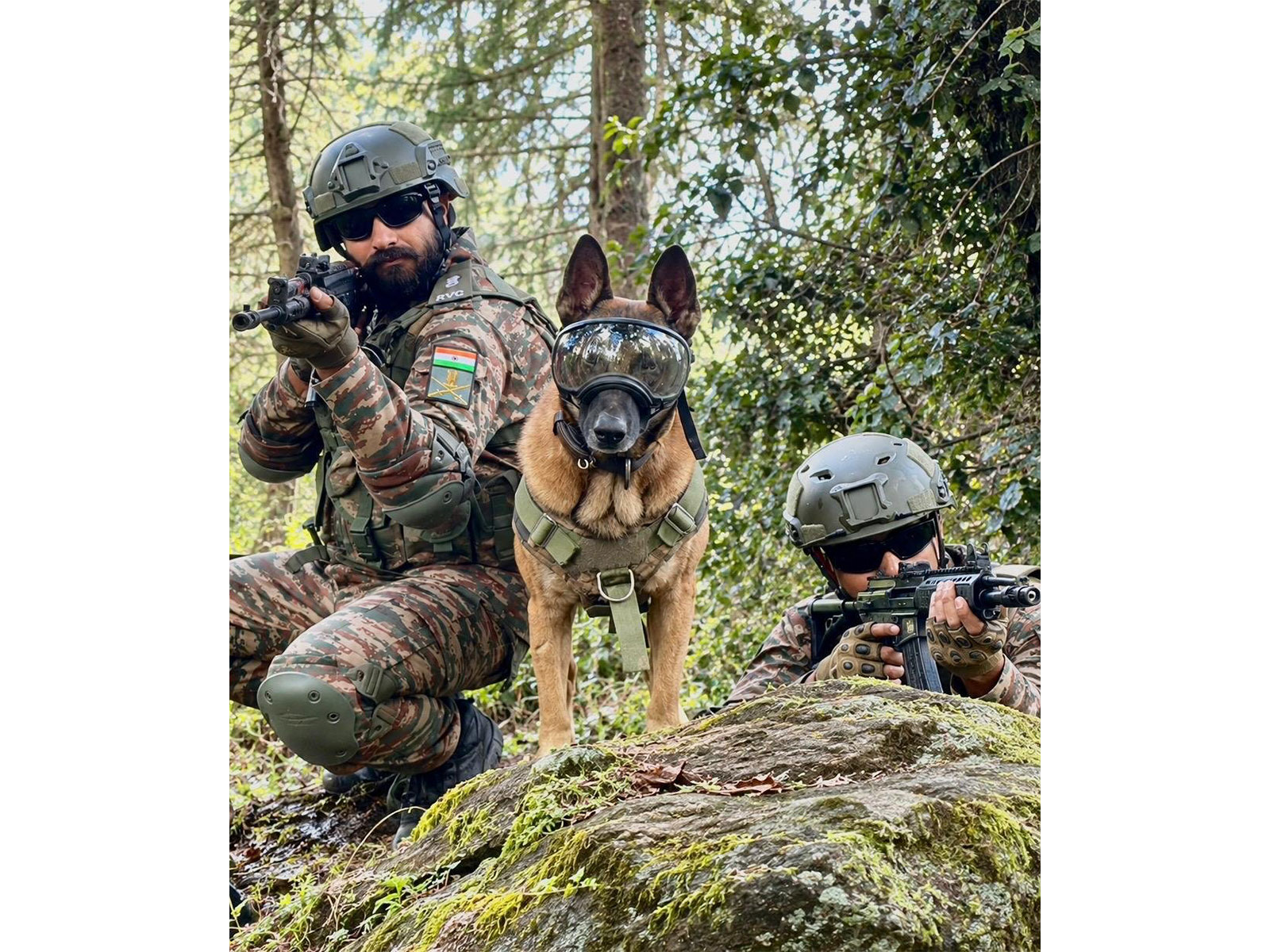 Indian Army canines participate in Exercise Yudh Abhyas 2026 (Photo/Indian Army) Indian Army canines participate in Exercise Yudh Abhyas 2026 (Photo/Indian Army)