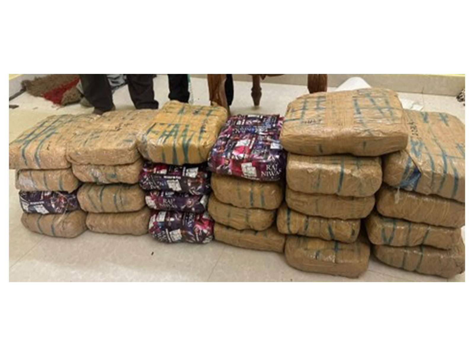 Seized 48.5 kg cannabis in Odisha (Photo/PIB) Seized 48.5 kg cannabis in Odisha (Photo/PIB)
