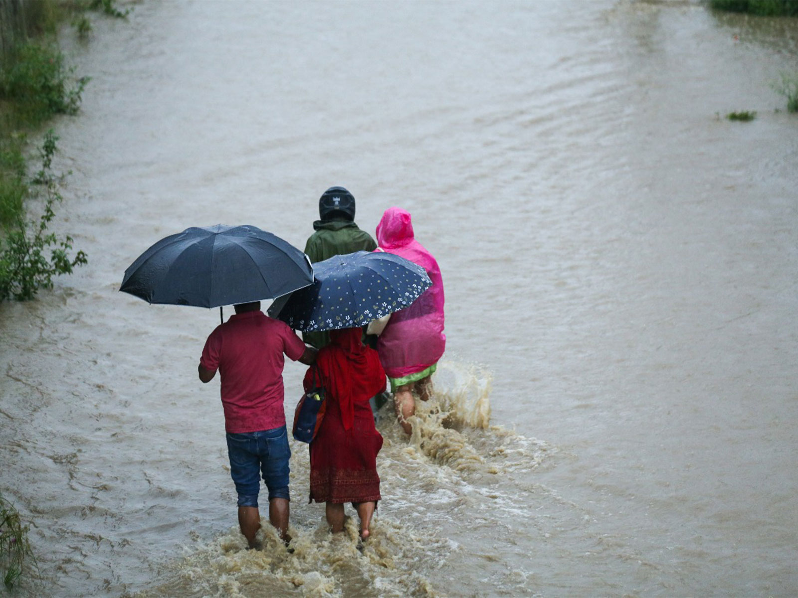 Representative Image (Photo/ANI)