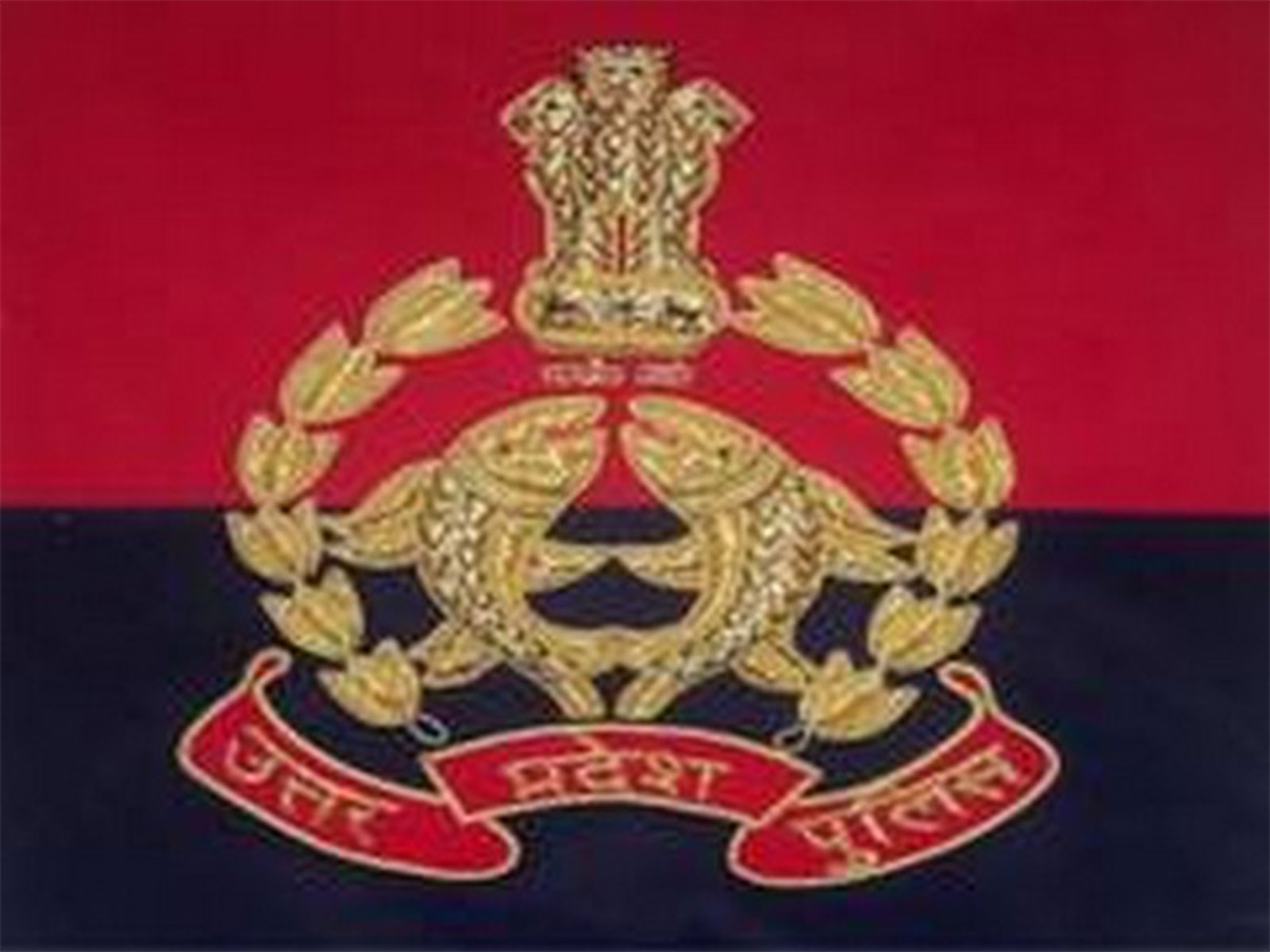 Representative Image (File Photo/ANI) Representative Image (File Photo/ANI)