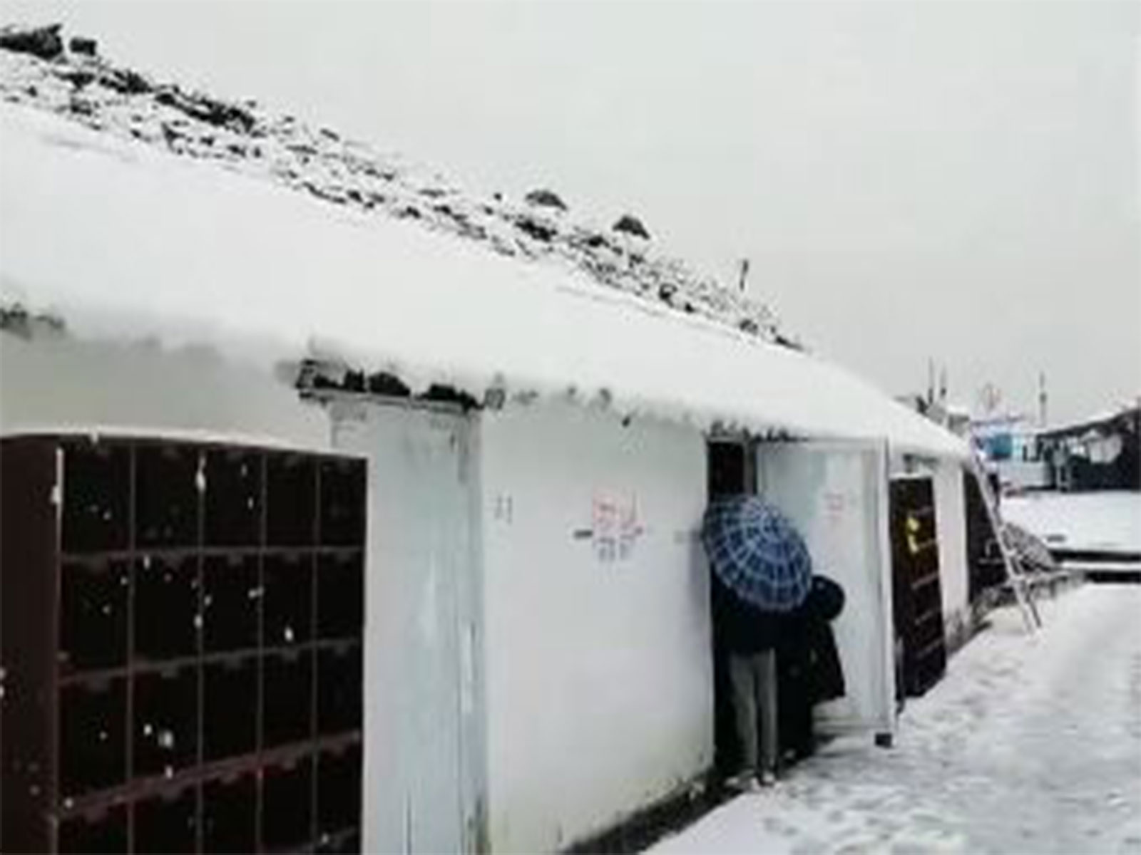 Continuous snowfall in Chamoli distrcit (Photo/ANI) Continuous snowfall in Chamoli distrcit (Photo/ANI)